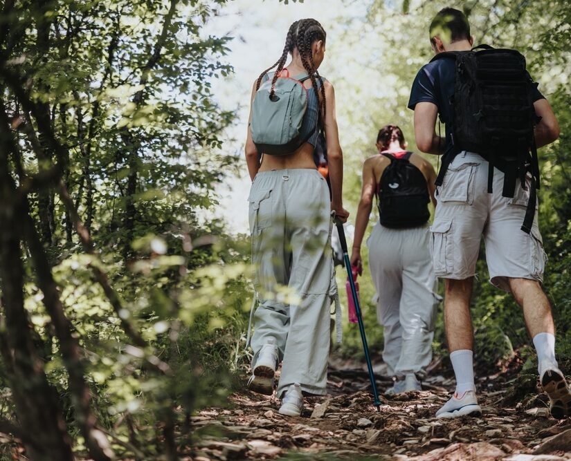 Group,Of,Friends,Enjoying,A,Hike,Through,A,Forested,Mountain