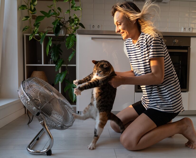 Domestic,Cat,Trying,To,Run,Away,From,Blonde,Owner,Hates